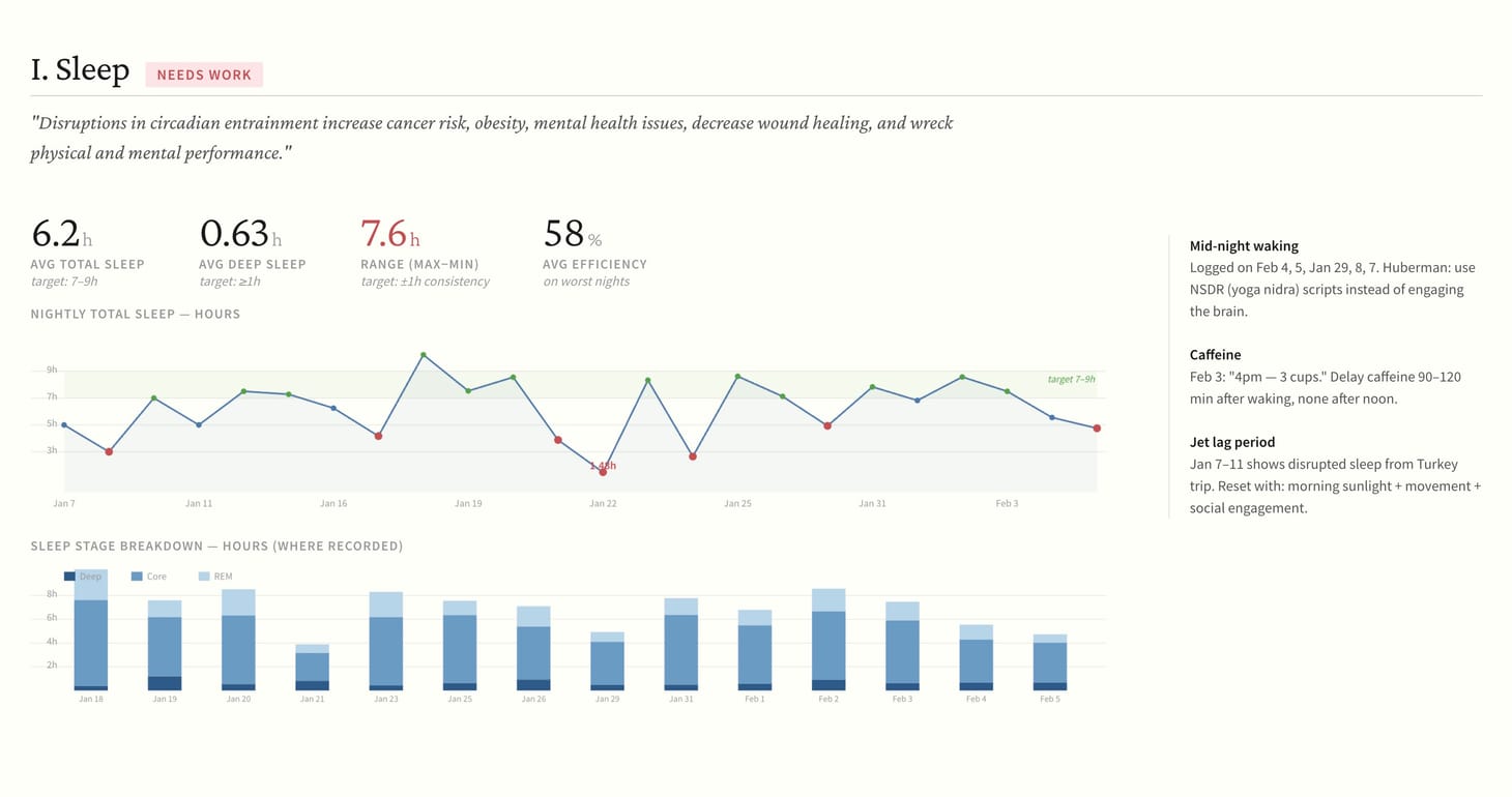 My AI roasted my health habits